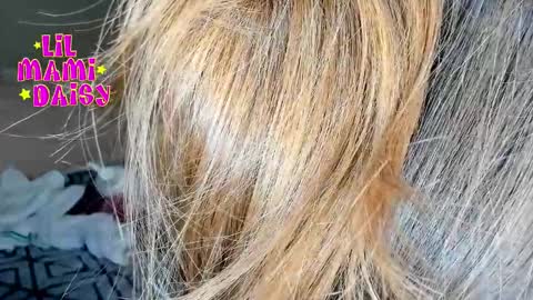 Daisy Bby online show from 03-16-26, 03:01