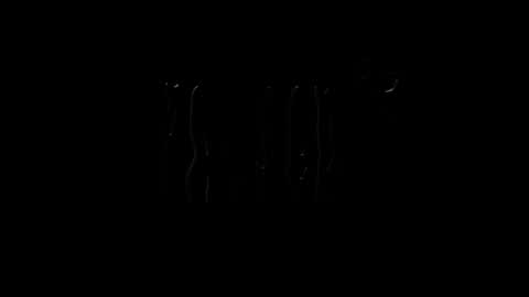 lilpresident online show from 01-23-25, 07:51