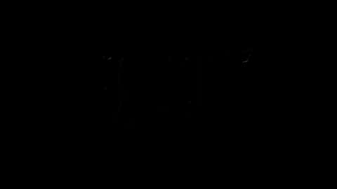 lilpresident online show from 02-04-25, 10:13