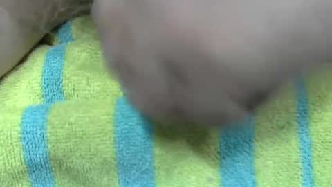 LilTonyPA online show from 01-21-25, 06:45