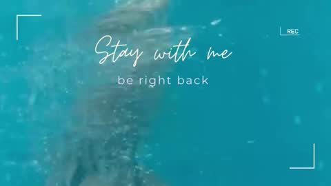 Lily online show from 09-29-25, 11:48