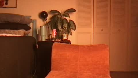 Snapshot of lily_henry chatting on 06-19-26, 04:39 Little Lily online show from 06-19-26, 04:39