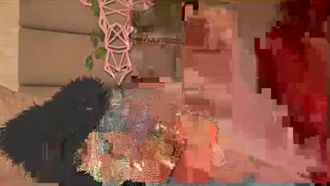 Lily Miiller online show from 02-05-26, 09:41