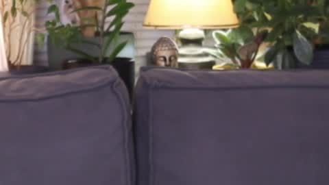 -- My Wishlist  online show from 11-13-25, 03:55