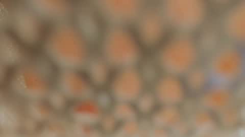 Lina Fanslymysensualworld online show from 01-05-25, 09:37