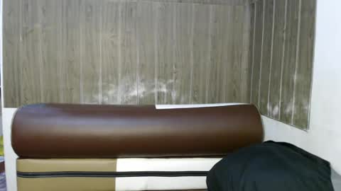 Snapshot of linaslayer chatting on 01-27-25, 01:09 Lexi online show from 01-27-25, 01:09