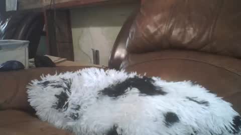 Richie Rich online show from 02-20-26, 08:31