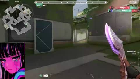 CatalinaANIDEA     online show from 01-18-25, 05:52