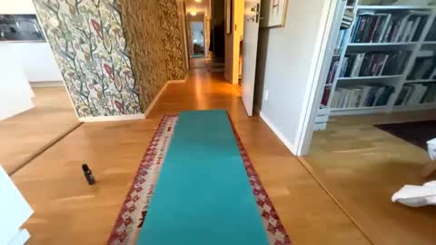 Snapshot of lingonkuk chatting on 10-19-25, 07:53 lingonkuk online show from 10-19-25, 07:53