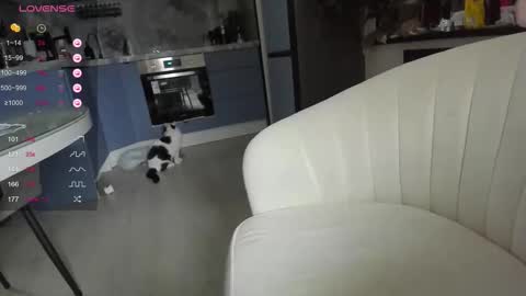 Lisa online show from 03-31-26, 04:24