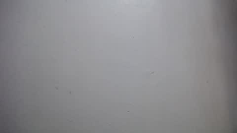 Snapshot of lisa_branch chatting on 12-14-25, 11:59 lisa_branch online show from 12-14-25, 11:59