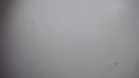 Snapshot of lisa_branch chatting on 12-19-25, 11:06 lisa_branch online show from 12-19-25, 11:06