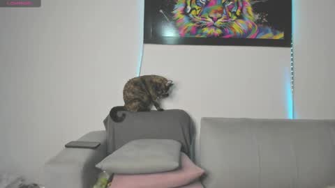 Independent model carolina online show from 03-11-25, 09:26