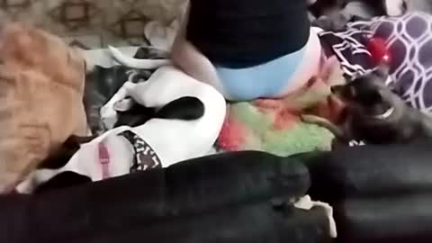 Sady Jayne online show from 09-22-25, 02:24