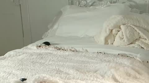 Audra A online show from 02-01-25, 11:16