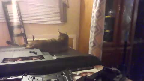 Snapshot of littlegrey376 chatting on 02-18-26, 07:15 littlegrey376 online show from 02-18-26, 07:15