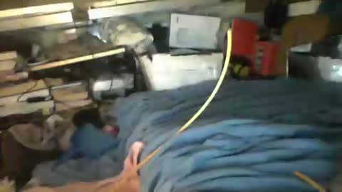 littlejay             littlejay online show from 10-04-25, 07:17