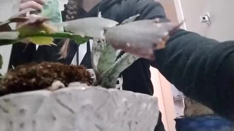 littleleo96 online show from 10-05-25, 11:08