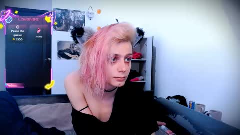 Snapshot of littlepinkcat chatting on 10-02-25, 03:02 Felix online show from 10-02-25, 03:02
