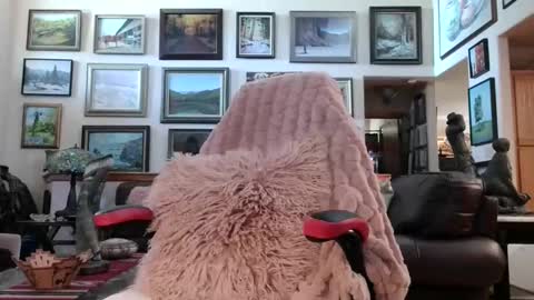 Snapshot of littlepistol chatting on 05-18-26, 06:36 Miss D Shows Mon Wed Fri online show from 05-18-26, 06:36