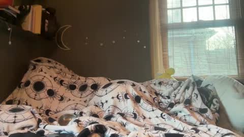 Snapshot of lizzyylovesick chatting on 03-05-25, 04:57 lizzybunny online show from 03-05-25, 04:57