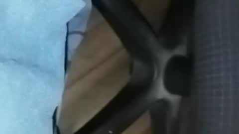 loco_boy007 online show from 02-16-26, 07:10