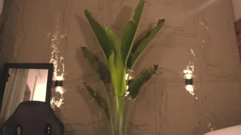 logan_varela online show from 03-01-25, 09:18