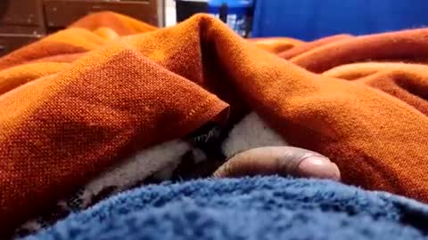 loganncky online show from 03-05-26, 07:59