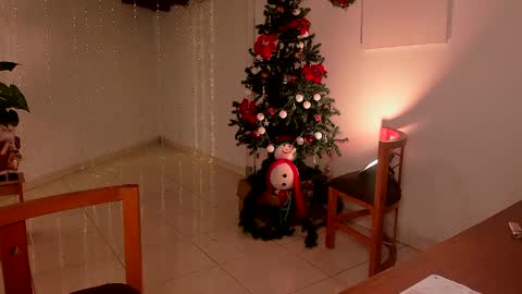 Snapshot of lola_cocks chatting on 12-15-24, 11:31 mara online show from 12-15-24, 11:31