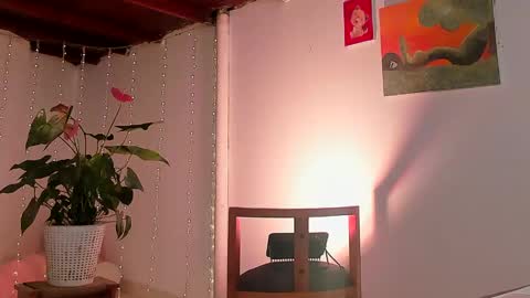 Snapshot of lola_cocks chatting on 01-31-25, 02:04 mara online show from 01-31-25, 02:04