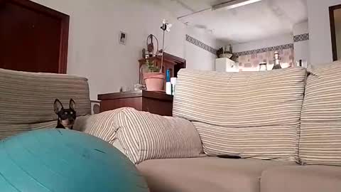 LOLA HUESO y ERIC online show from 10-17-25, 08:06