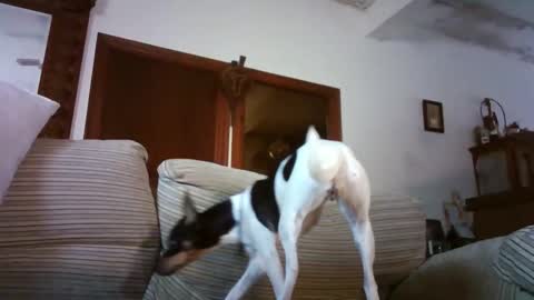 LOLA HUESO y ERIC online show from 01-15-26, 09:58