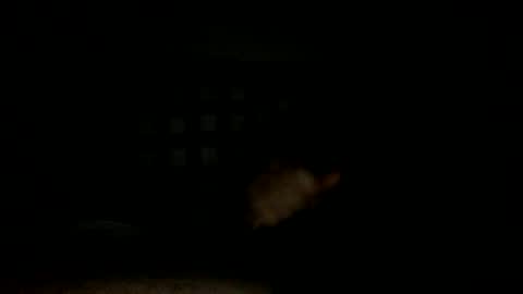 Snapshot of lonezane chatting on 11-14-25, 07:34 Handsome Cock online show from 11-14-25, 07:34