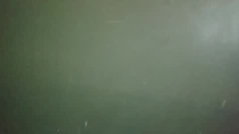 Snapshot of long101212 chatting on 02-18-25, 07:41 long101212 online show from 02-18-25, 07:41