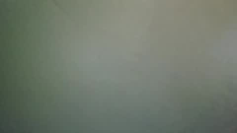 Snapshot of long101212 chatting on 02-28-25, 07:14 long101212 online show from 02-28-25, 07:14