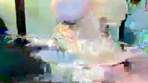 Snapshot of long_dong91 chatting on 01-03-25, 05:10 Long Dong91 online show from 01-03-25, 05:10