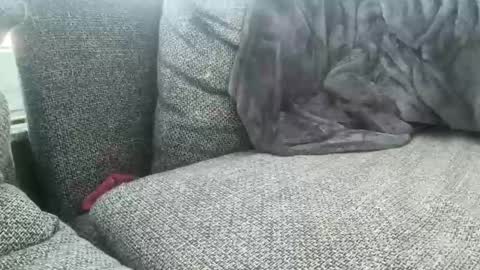 longjohnson94435702 online show from 03-02-25, 07:54