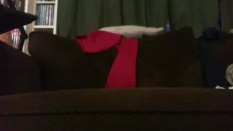 Snapshot of longlorne chatting on 11-18-25, 04:28 longlorne online show from 11-18-25, 04:28