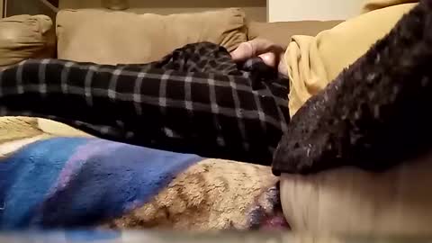 looking4bush online show from 01-13-26, 03:34