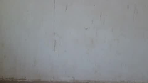 Snapshot of loraa_baby chatting on 06-28-26, 12:49 Loraa online show from 06-28-26, 12:49