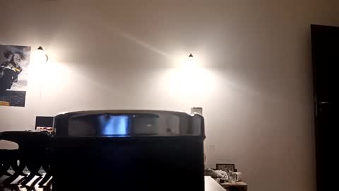 Snapshot of loraflame chatting on 12-29-24, 10:23 Lora online show from 12-29-24, 10:23