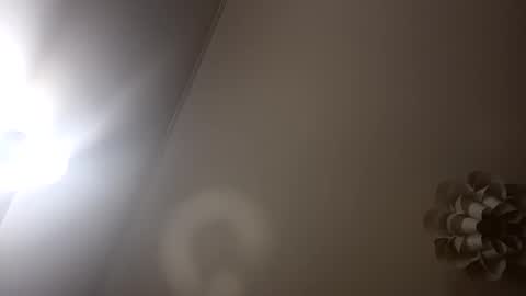 Snapshot of loraflame chatting on 01-05-25, 06:56 Lora online show from 01-05-25, 06:56
