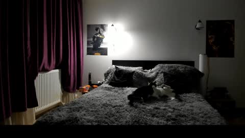 Snapshot of loraflame chatting on 01-08-25, 06:41 Lora online show from 01-08-25, 06:41