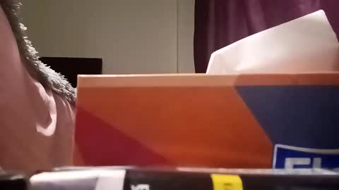 Snapshot of loraflame chatting on 02-20-25, 04:46 Lora online show from 02-20-25, 04:46