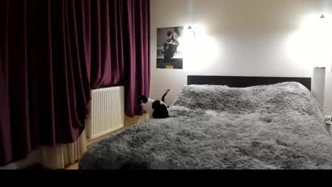 Snapshot of loraflame chatting on 02-21-25, 05:53 Lora online show from 02-21-25, 05:53