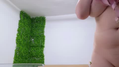 Snapshot of lorennameliyy chatting on 02-25-25, 07:58 Amelia online show from 02-25-25, 07:58