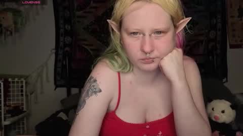 Lori Critter online show from 05-15-26, 11:12