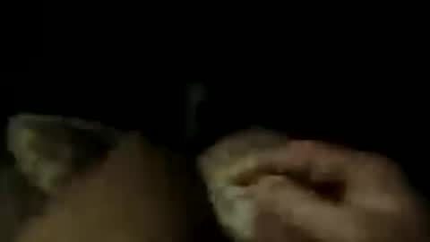 Snapshot of lostin69dremes chatting on 07-16-26, 10:10 LostinDremes online show from 07-16-26, 10:10
