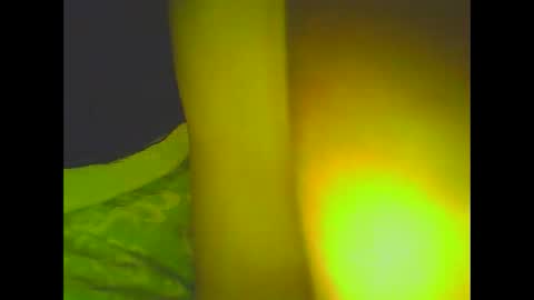 Snapshot of love5pu55y chatting on 03-06-25, 08:30 PleasureX online show from 03-06-25, 08:30