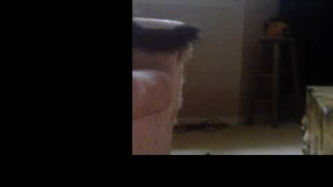 love69bush online show from 02-04-26, 06:30